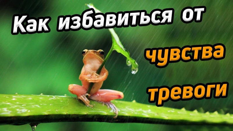 Preview Поражение «Джетс» от «Кингз»: пока нет причин для тревоги