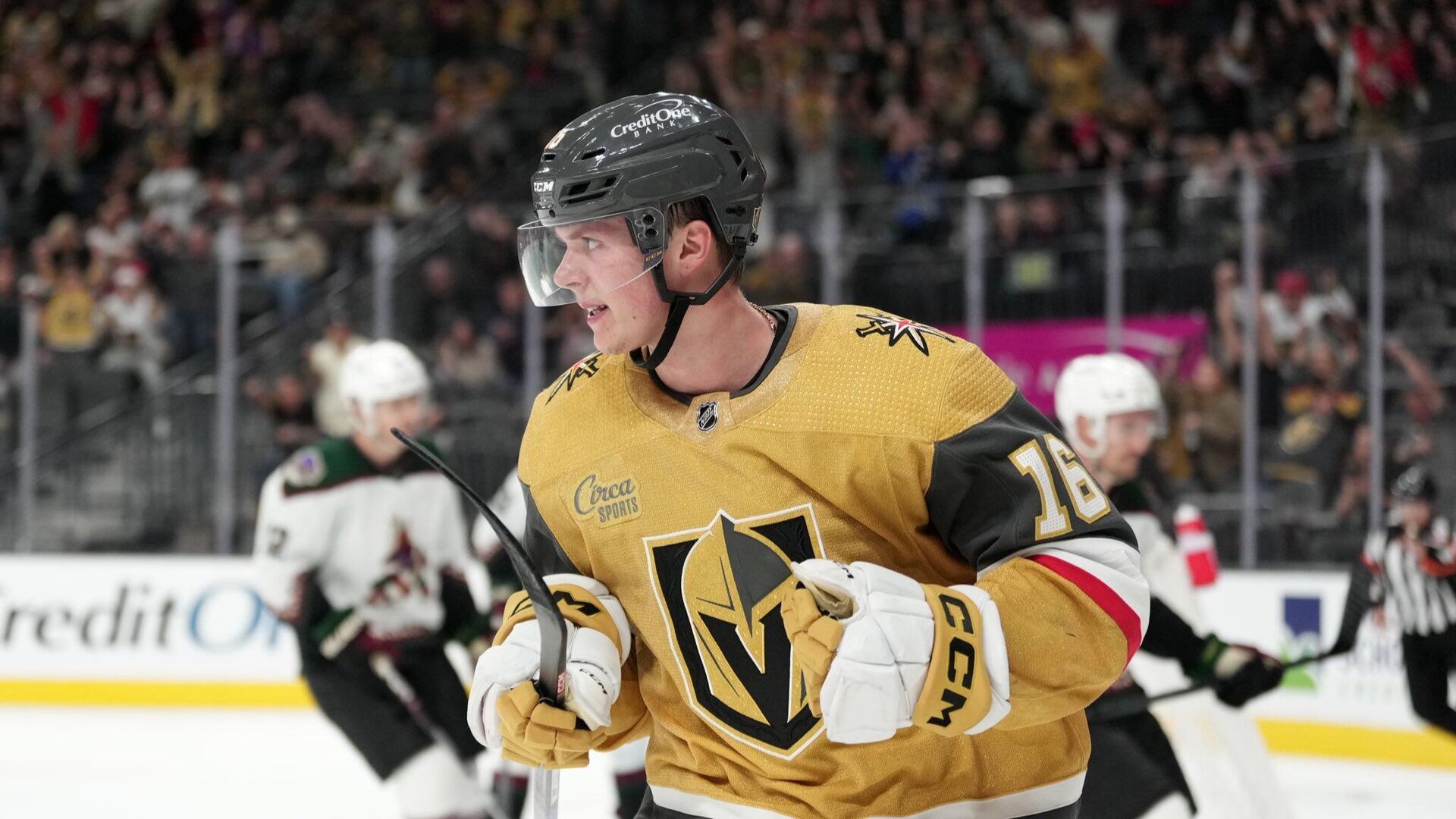 Preview МакНабб и Саад из «Вегас Голден Найтс» – статус day-to-day, Дорофеев планирует вернуться