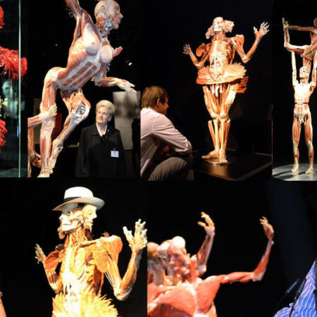 Анализ скаута: Почему Джеймс Хагенс опустился с первого номера драфта?