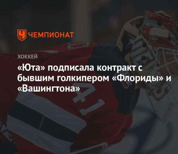 Витек Ванечек подписал контракт с “Юта Маммот”