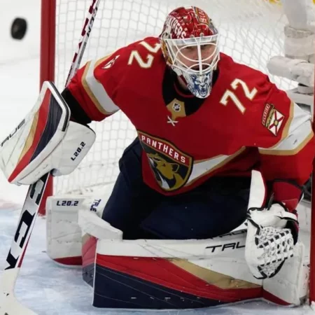 Экстренные вратари НХЛ становятся штатными по новому CBA