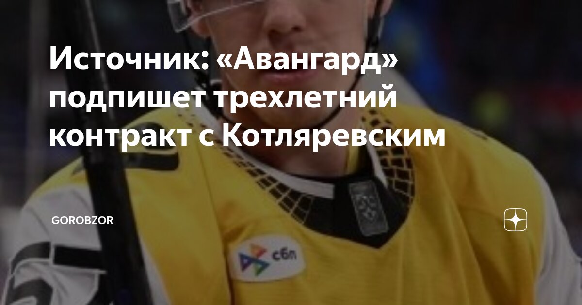 Preview «Торонто Мэйпл Лифс» подписывает Мирослава Холинку на трехлетний контракт