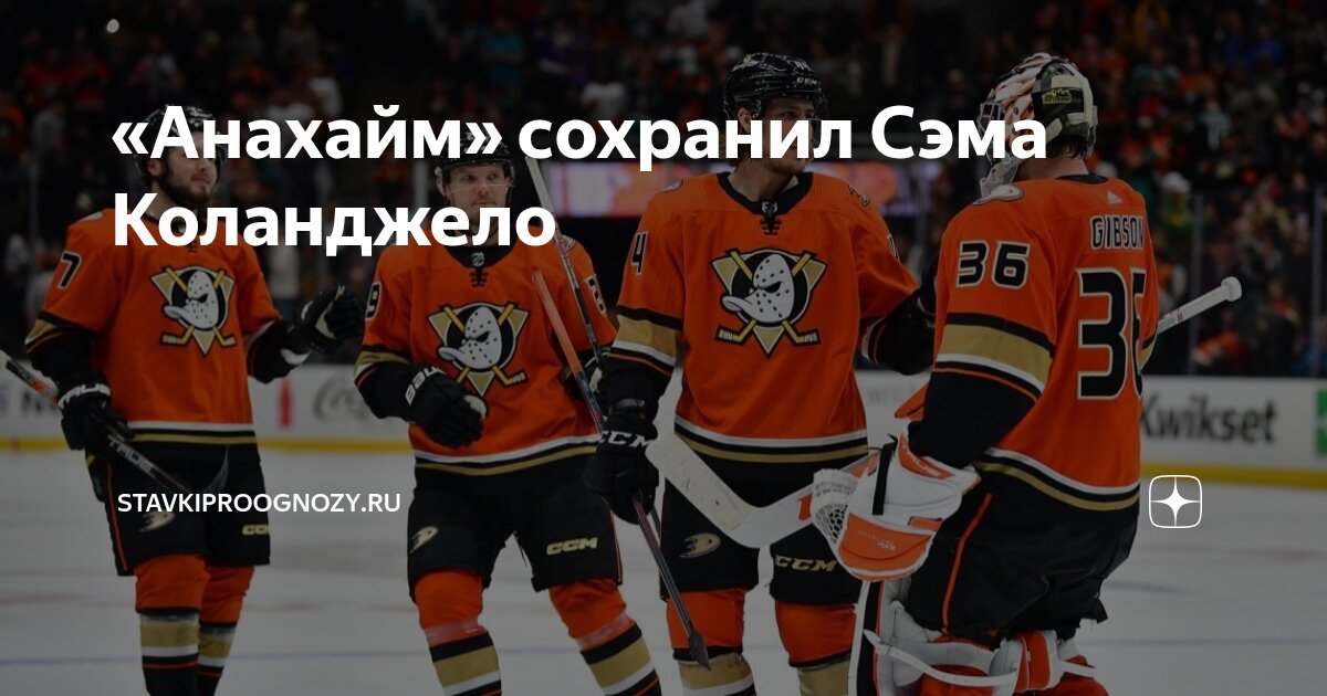 Preview Анахайм Дакс подписали Сэма Коланджело на двухлетний контракт