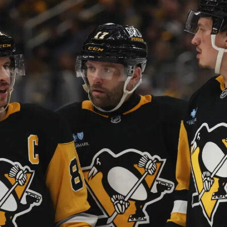 Семья Хоффманн претендует на покупку «Пингвинз» у Fenway Sports Group