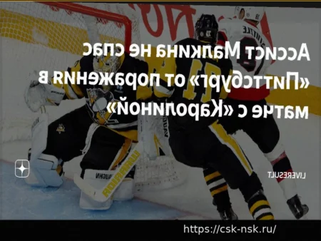 «Каролина» нанесла гостевое поражение «Питтсбургу»