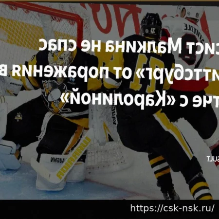 «Каролина» нанесла гостевое поражение «Питтсбургу»