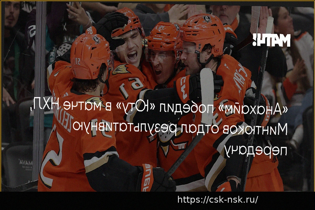 Preview НХЛ: «Анахайм» одержал победу над «Ютой» со счетом 4:1