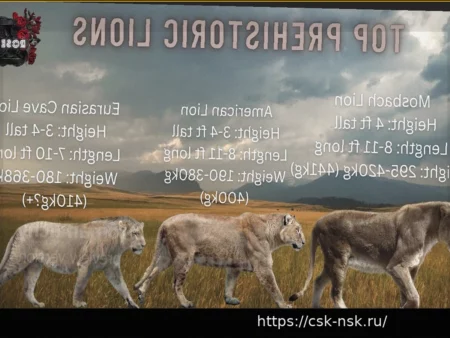 ZSC Lions обыгрывают «Лугано» 5:4: «бело-черные» не смогли завершить камбэк