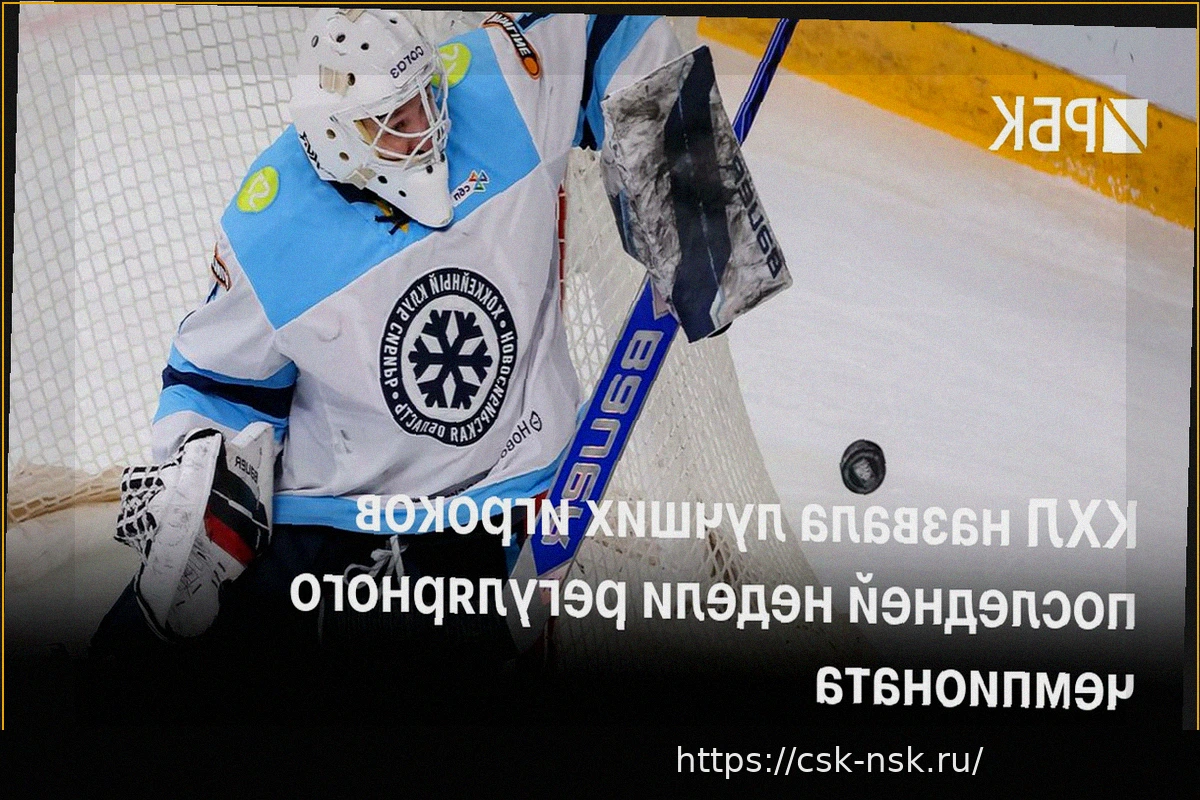 Preview Бердин, Диц и Григоренко признаны лучшими игроками заключительной недели чемпионата КХЛ