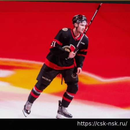 Игроки НХЛ и азартные игры: Правила, ограничения и прецеденты