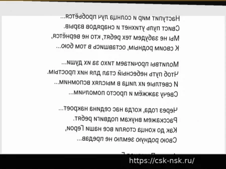 Сергеев — о моменте с Маминым: «Не видел повтора, но ребята на лавке говорили, что касания шайбы не было»