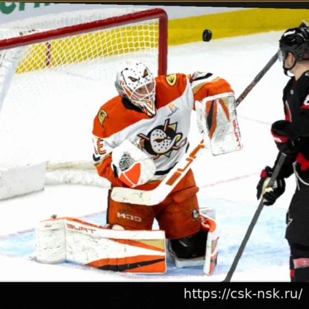 Помеха вратарю в НХЛ: Дилемма, которая не находит решения