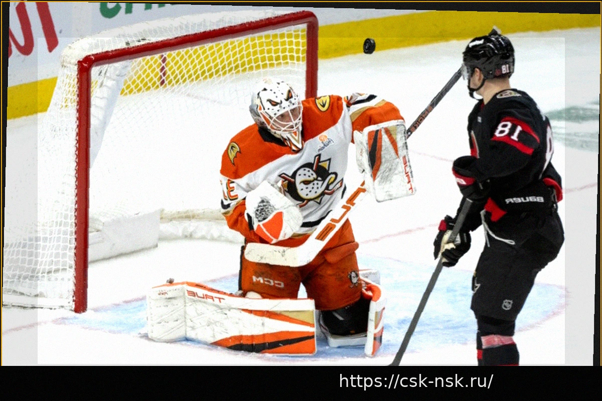 Preview Помеха вратарю в НХЛ: Дилемма, которая не находит решения