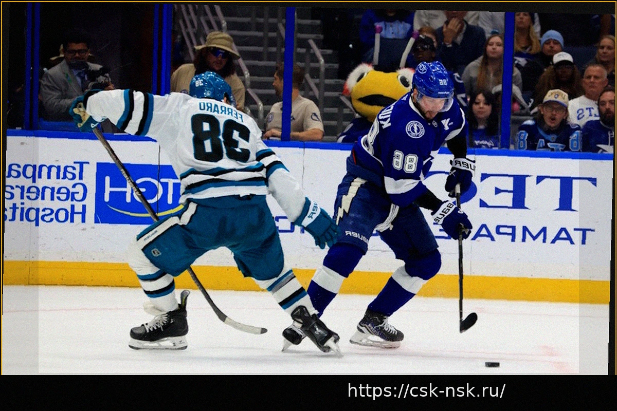 Preview Слухи НХЛ: «Кэнакс», «Старс», «Блэкхокс», «Харрикейнз», «Шаркс», «Лайтнинг» и будущие ОСА