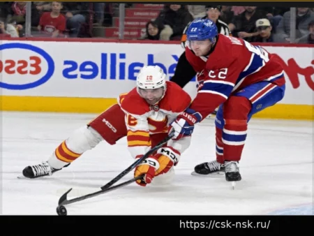 Слухи НХЛ: Канадиенс, Флеймз, Уайлд, Айлендерс, Лифс, Кэпиталз, Брюинз и Пантерз