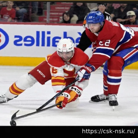 Слухи НХЛ: Канадиенс, Флеймз, Уайлд, Айлендерс, Лифс, Кэпиталз, Брюинз и Пантерз