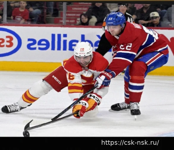 Слухи НХЛ: Канадиенс, Флеймз, Уайлд, Айлендерс, Лифс, Кэпиталз, Брюинз и Пантерз