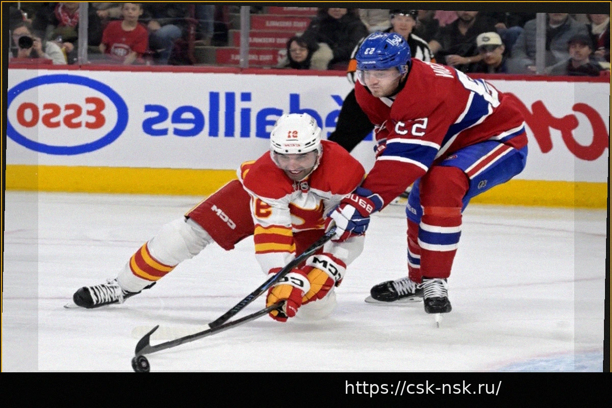 Preview Слухи НХЛ: Канадиенс, Флеймз, Уайлд, Айлендерс, Лифс, Кэпиталз, Брюинз и Пантерз