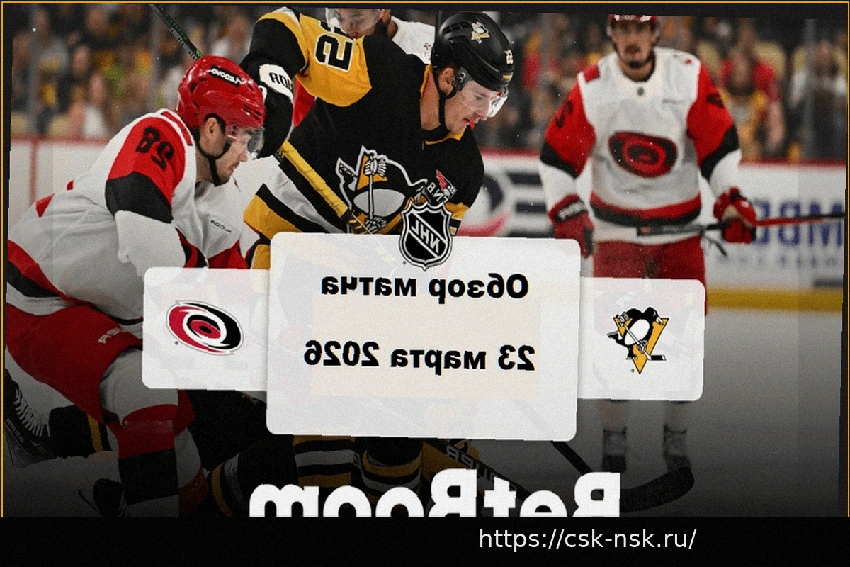 Preview Видеообзор матча НХЛ: «Каролина» одержала победу над «Питтсбургом» (5:1)
