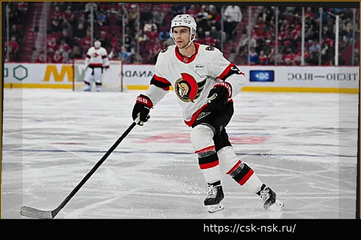 Preview «Оттава» обеспечила себе путевку в плей-офф НХЛ