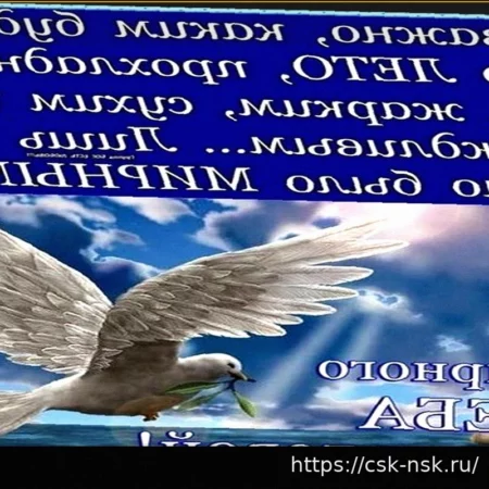 Виктор Шалимов: Главная Мечта — Мирное Небо