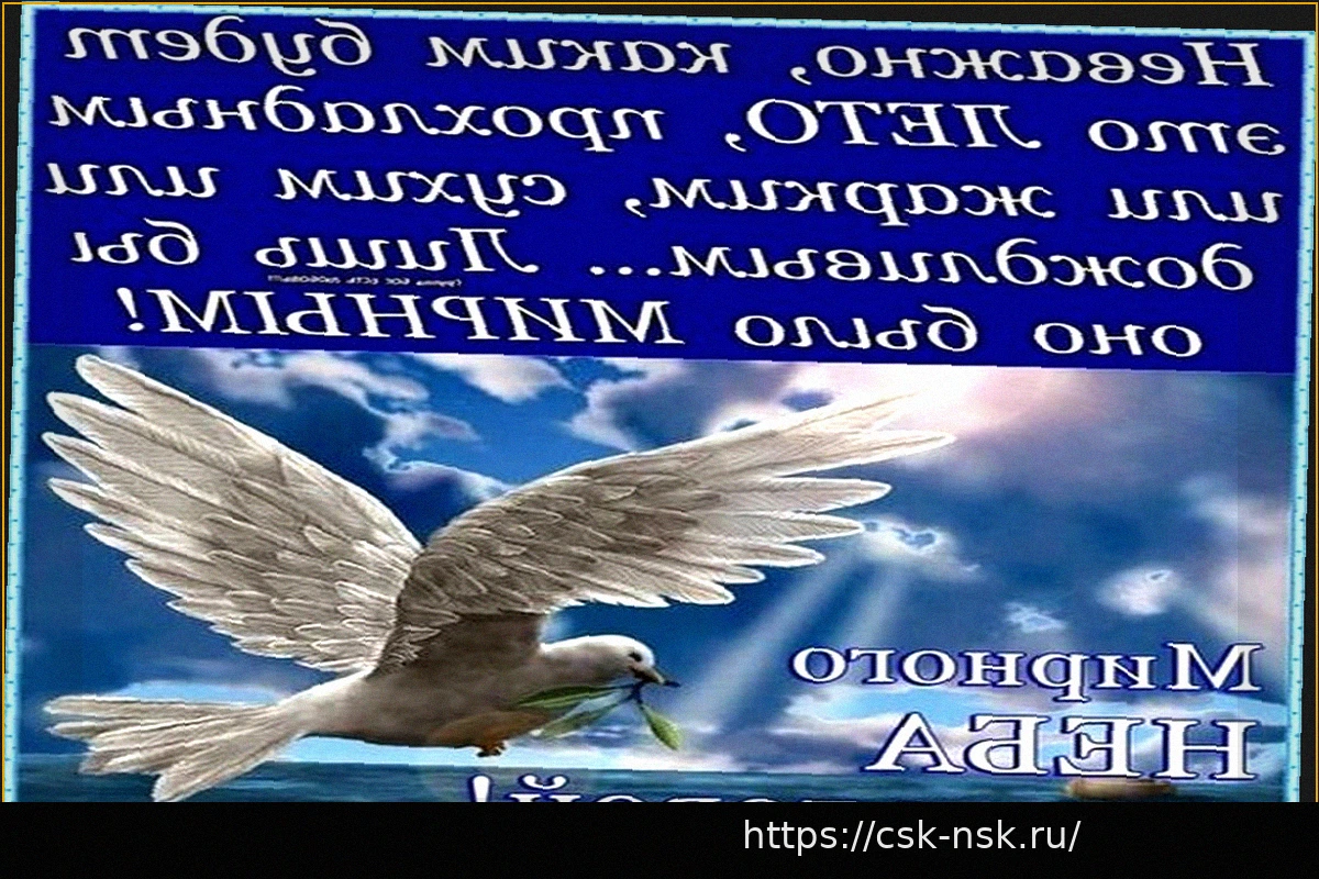 Preview Виктор Шалимов: Главная Мечта — Мирное Небо