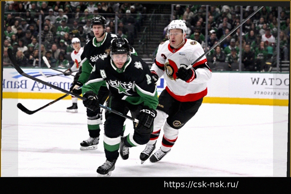 Preview Травмы в НХЛ: «Дакс», «Старз», «Айлендерс», «Сенаторз», «Лайтнинг», «Мамонт» и «Кэнакс»