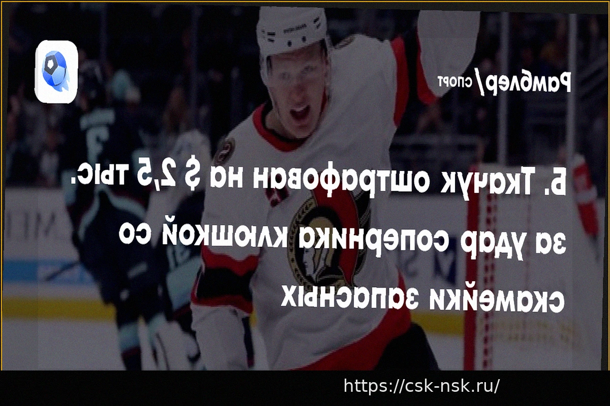 Preview Ткачак из «Оттавы» оштрафован на 2,5 тысячи долларов за удар соперника клюшкой со скамейки запасных