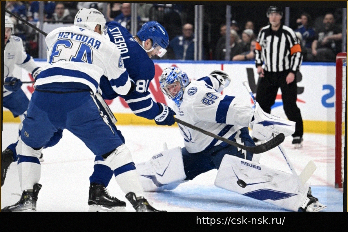 Preview Торонто Мэйпл Лифс: Потенциальные кандидаты на позицию свободного агента и генерального менеджера