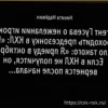 Агент Гусева о будущем хоккеиста: «От Никиты не было запроса о продолжении карьеры в НХЛ»