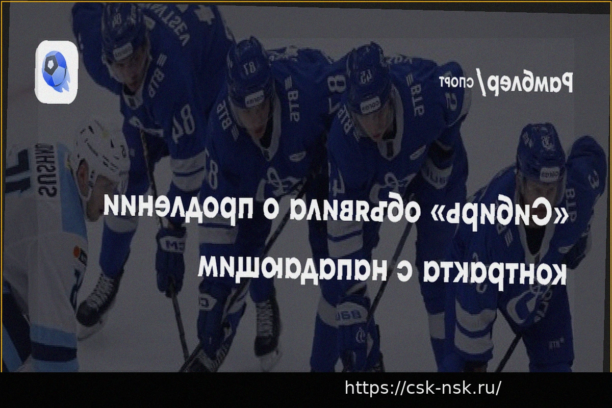 Preview «Сибирь» продлила соглашение с Максимом Сушко на год