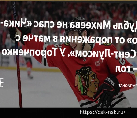 «Нэшвилл» одержал победу над «Миннесотой»