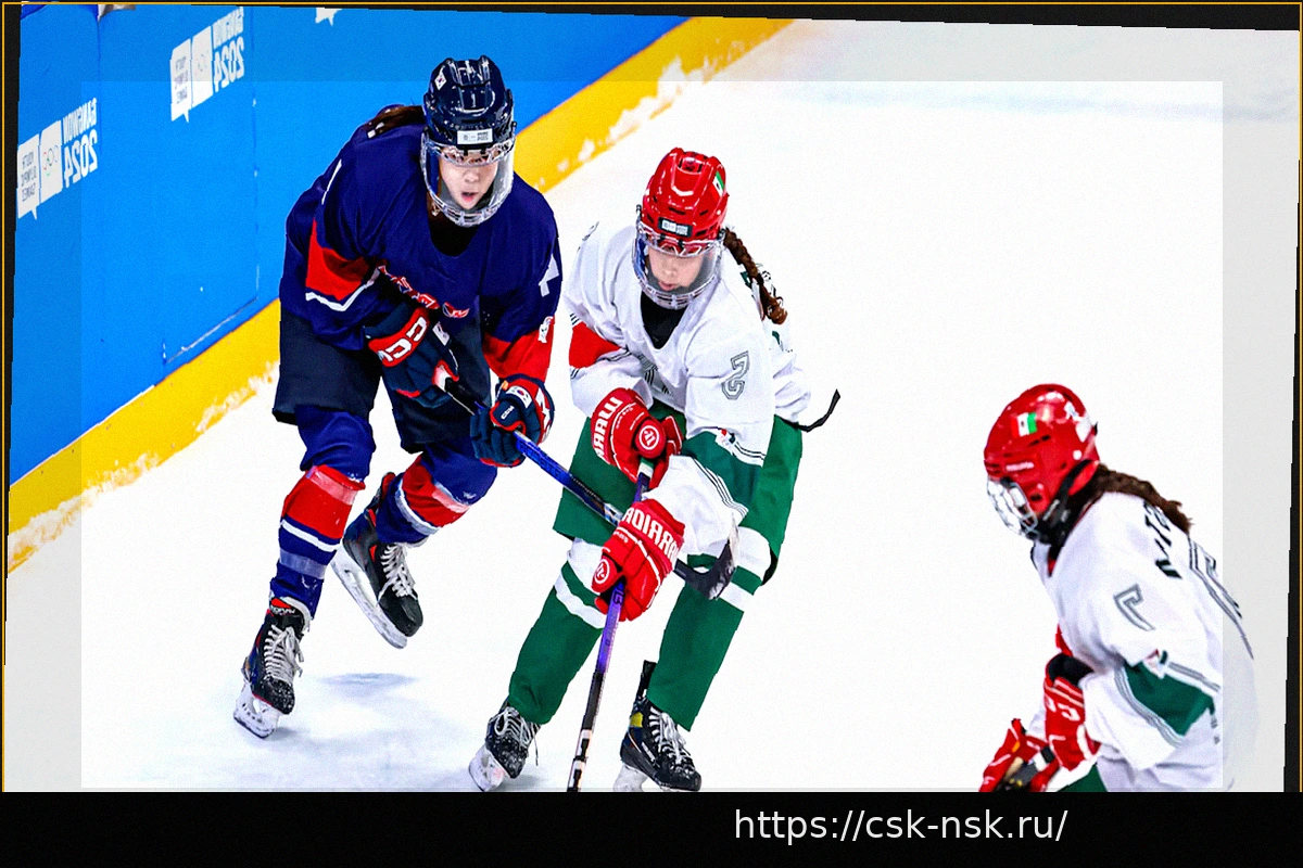 Preview Где следить за хоккеем с шайбой в Испании (и почему это не всегда просто)