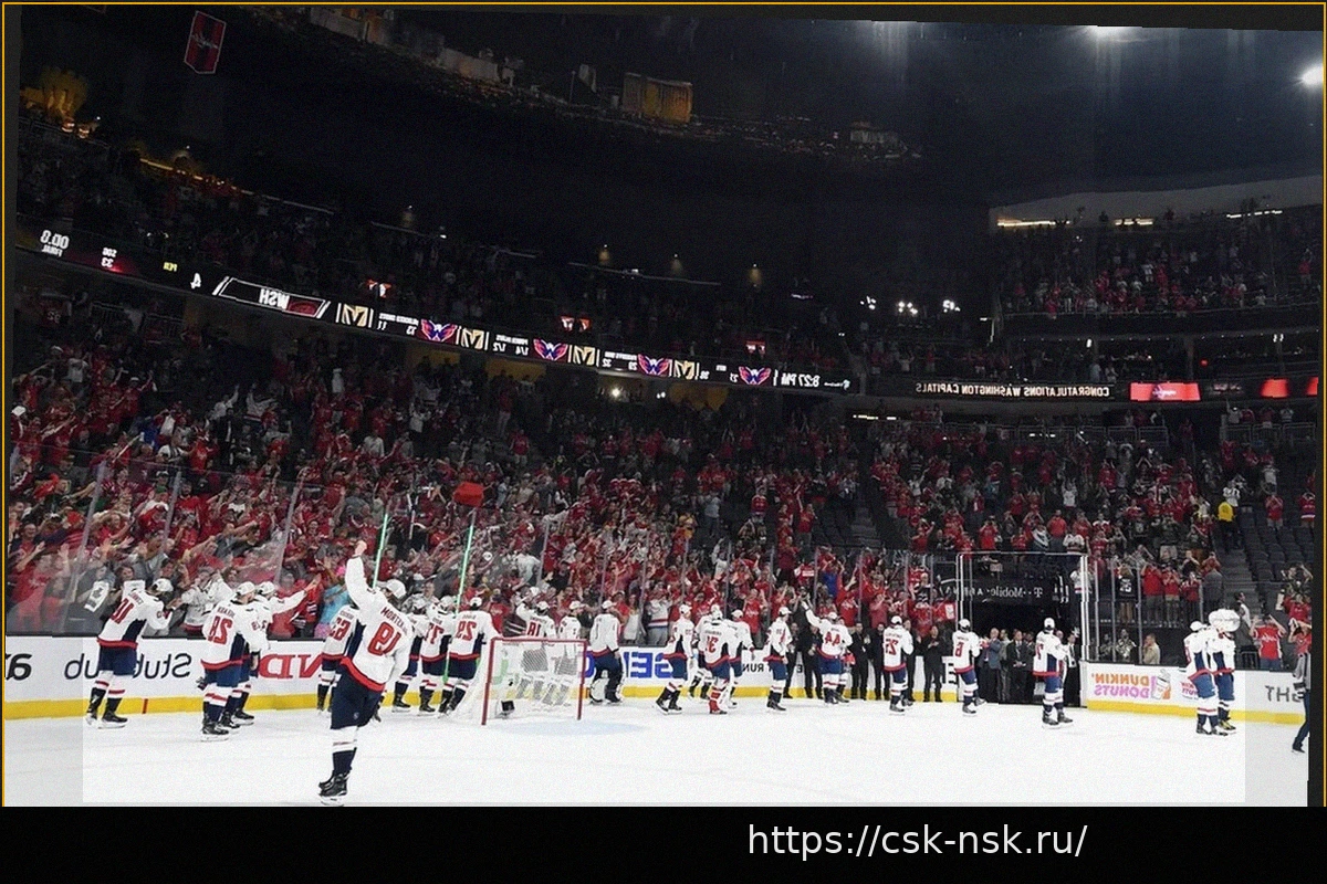 Preview Уникальное происшествие: рождение ребенка на арене «Эдмонтона» во время матча НХЛ