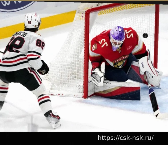 NHL Rumors: Offer Sheets, Sergei Bobrovsky, and Connor Bedard