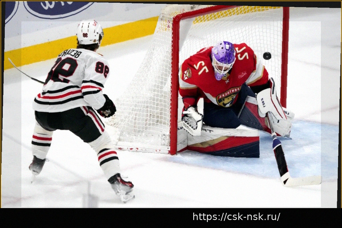 Preview NHL Rumors: Offer Sheets, Sergei Bobrovsky, and Connor Bedard