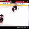 What Will the Carolina Hurricanes Do In Net?