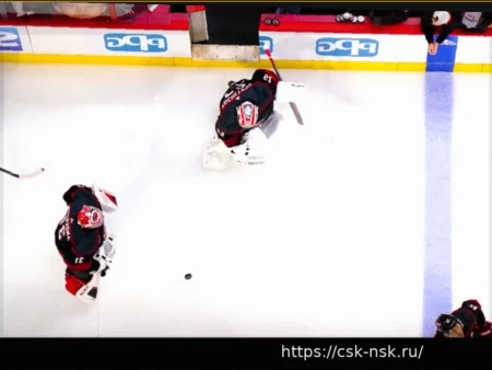 What Will the Carolina Hurricanes Do In Net?