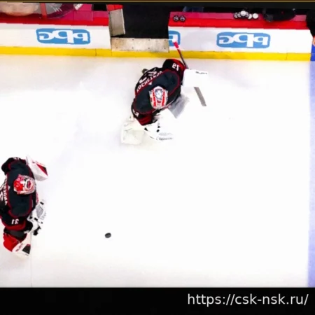 What Will the Carolina Hurricanes Do In Net?