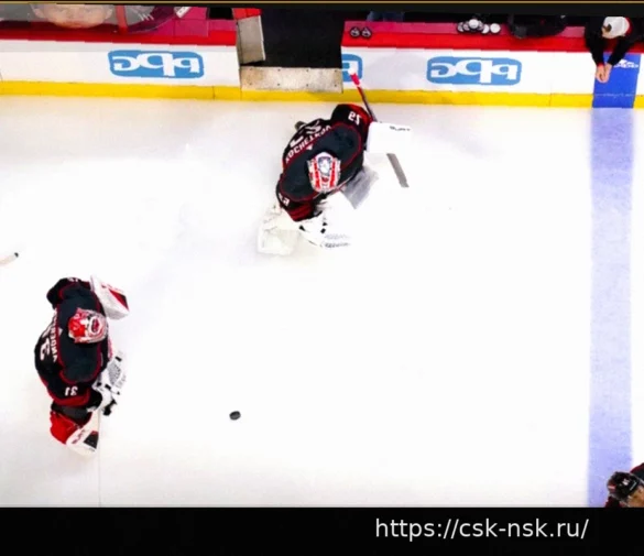 What Will the Carolina Hurricanes Do In Net?