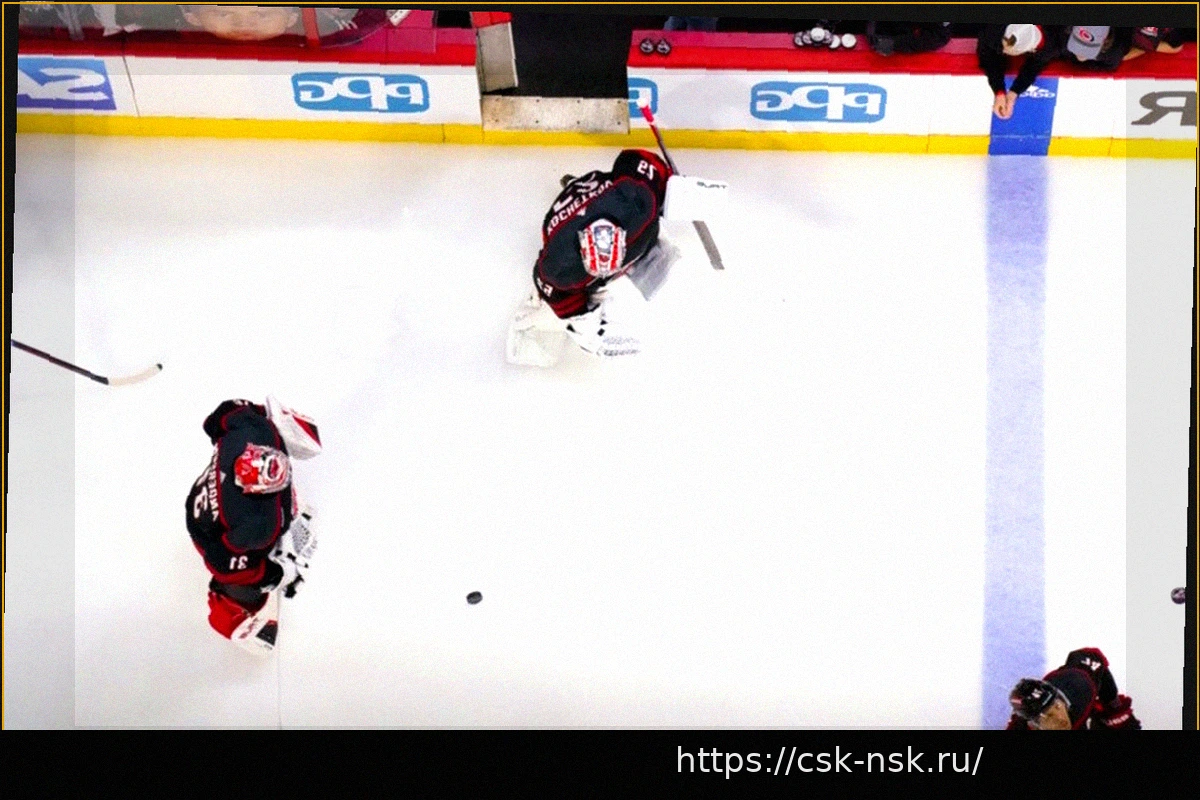 Preview What Will the Carolina Hurricanes Do In Net?